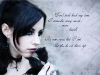 nin 219_4